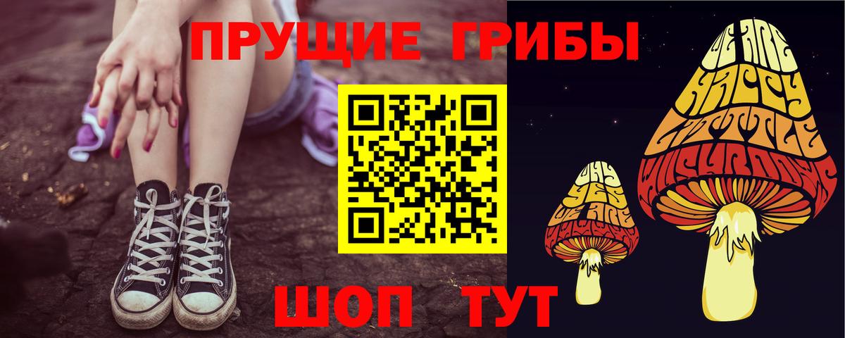 Галлюциногенные грибы мухоморы Петропавловск-Камчатский