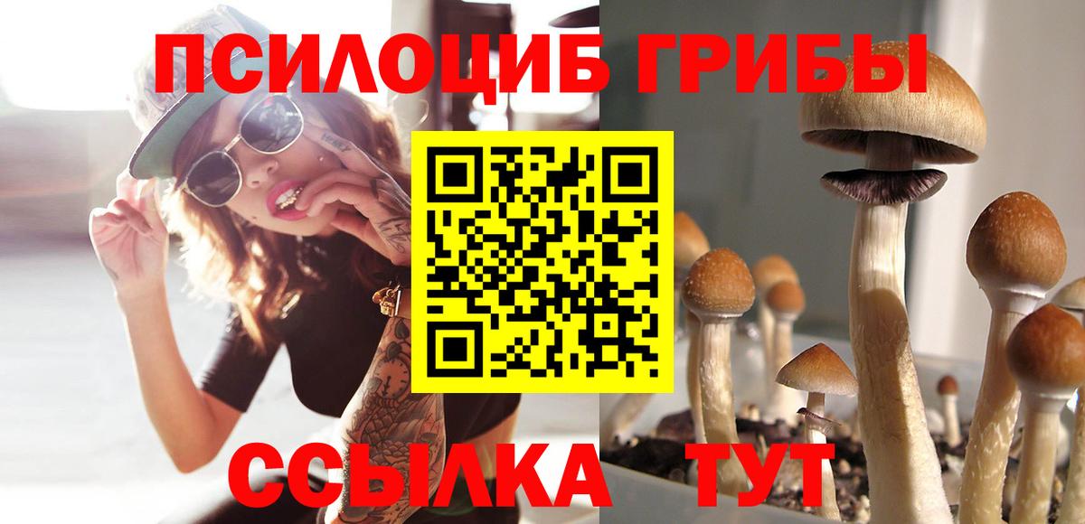 Галлюциногенные грибы MAGIC MUSHROOMS  Вход с VPN  Петропавловск-Камчатский  Галлюциногенные грибы Magic Shrooms 